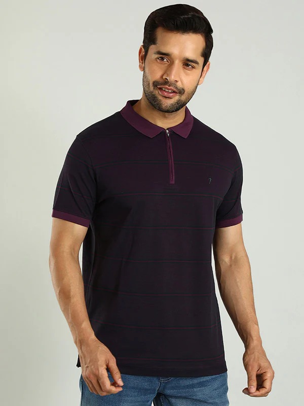 Indian Terrain Men's Half Sleeve Regular Fit Purple Polo T-Shirt